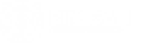 BIM Bali